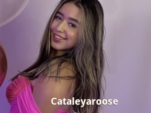 Cataleyaroose