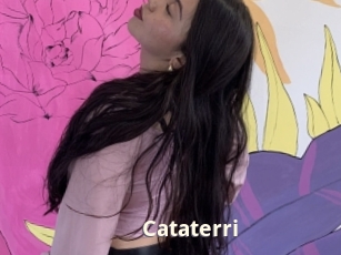 Cataterri