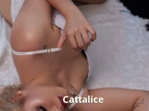 Cattalice