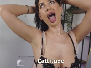 Cattitude