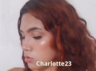 charlotte23 Bigtitinvasion