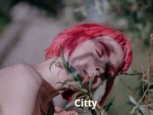 Citty