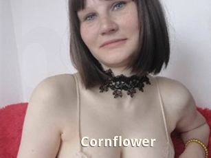 Cornflower