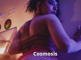 Cosmosis