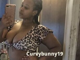 Curvybunny19