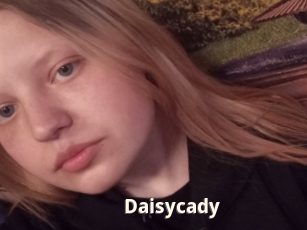 Daisycady