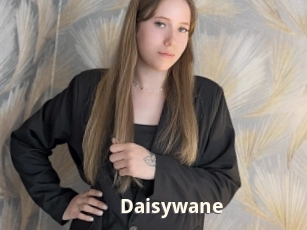 Daisywane