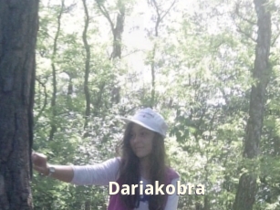 Dariakobra