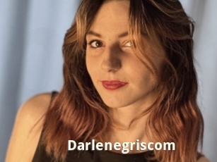 Darlenegriscom