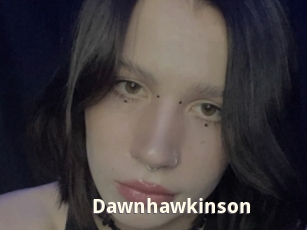 Dawnhawkinson