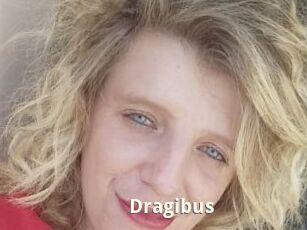 Dragibus