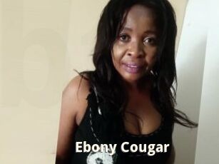 Ebony_Cougar
