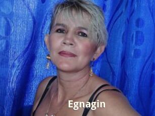 Egnagin