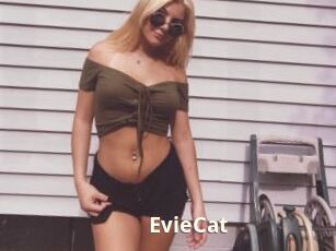 EvieCat