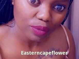 Easterncapeflower