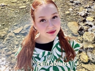 Edinabibbs