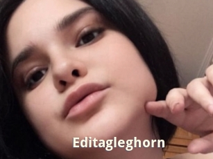Editagleghorn