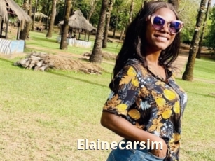 Elainecarsim