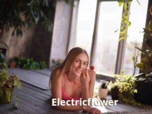Electricflower