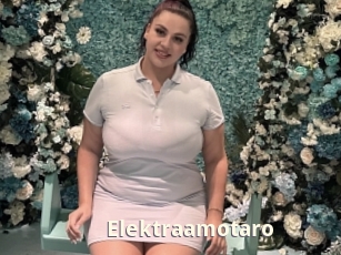 Elektraamotaro