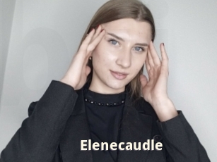 Elenecaudle
