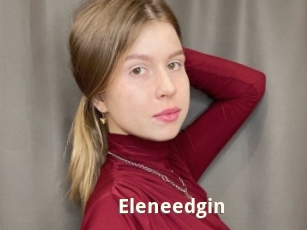 Eleneedgin
