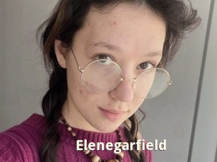 Elenegarfield