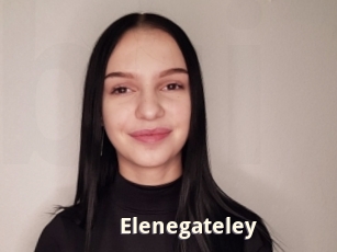 Elenegateley