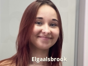 Elgaalsbrook