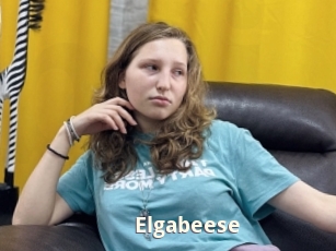 Elgabeese