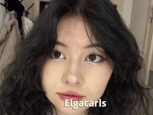 Elgacarls