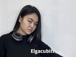 Elgacubitt