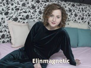 Elinmagnetic