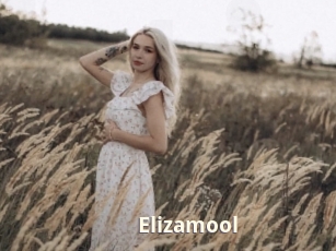 Elizamool