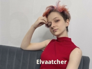 Elvaatcher
