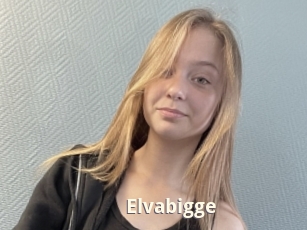 Elvabigge