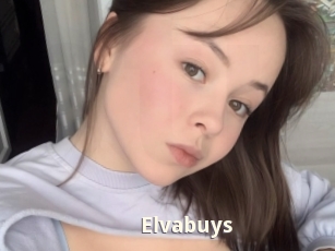 Elvabuys