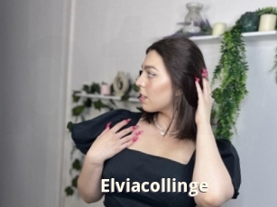 Elviacollinge