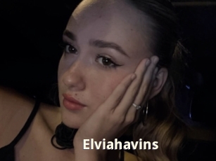 Elviahavins