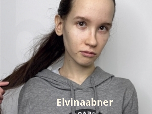 Elvinaabner