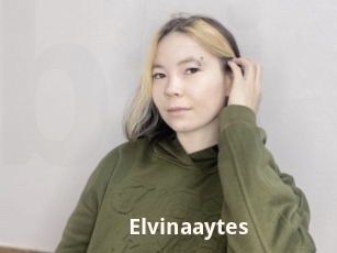 Elvinaaytes