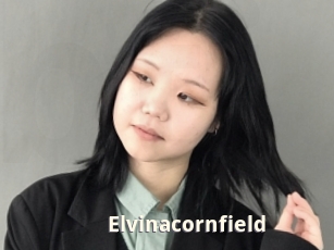 Elvinacornfield
