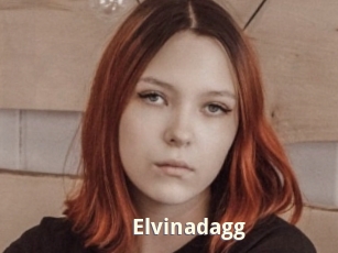 Elvinadagg