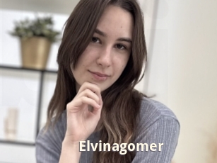 Elvinagomer