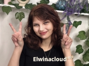 Elwinacloud