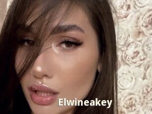 Elwineakey