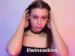 Elwineaskins