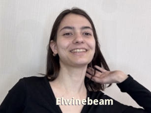 Elwinebeam