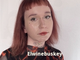 Elwinebuskey