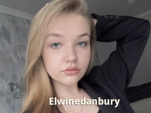 Elwinedanbury